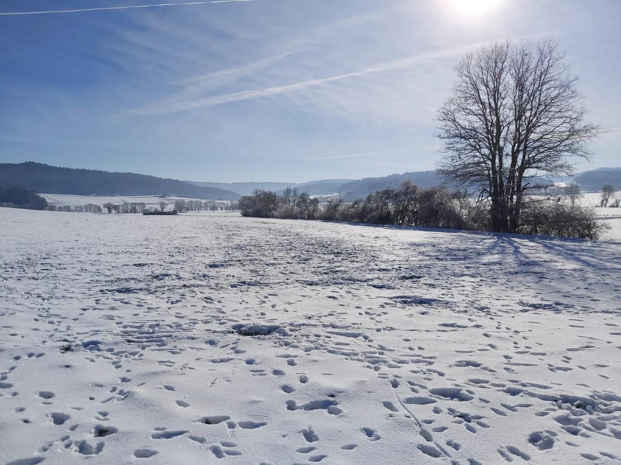 Reitze Hoob Appartement Hommertshausen Buitenkant foto